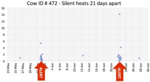 How FlashMate sees Silent Heat Graph Image
