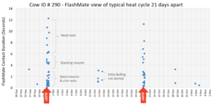 How FlashMate sees typical cow heat Graph Image